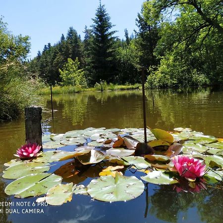 ReSource Daire Le Chambon-sur-Lignon Dış mekan fotoğraf