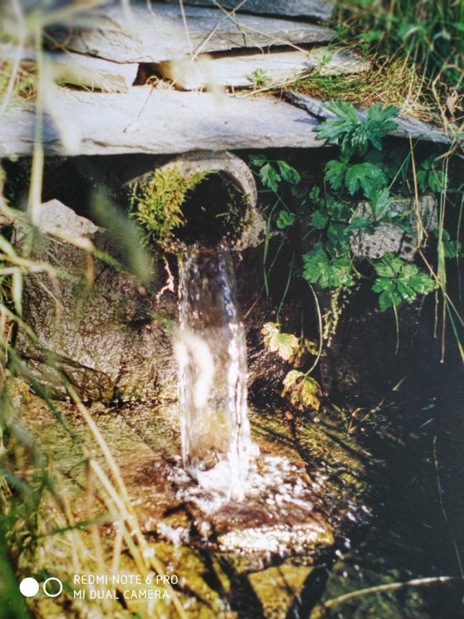 ReSource Daire Le Chambon-sur-Lignon Dış mekan fotoğraf