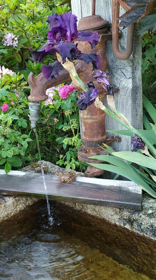 ReSource Daire Le Chambon-sur-Lignon Dış mekan fotoğraf